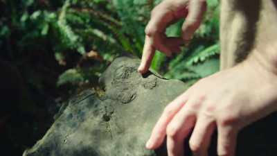 What we found here
is a piece of bone - Modern Dinosaurs