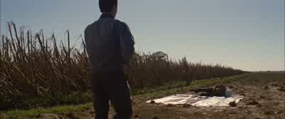 What, fourth loop closed this month? - Looper