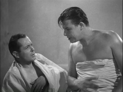 What has Gertrude got to do with Camels - Mr  &amp; Mrs  Smith