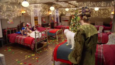 What is going on in here - The Search for Santa Paws