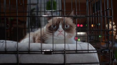 What good is love if nobody gives it back - Grumpy Cat's Worst Christmas Ever