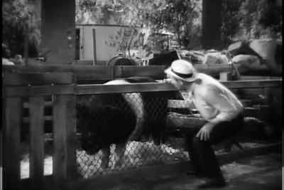 What happened? All right, boy,
Blue Boy, all right. - State Fair