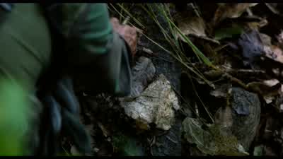 - What happened here, Billy? - Predator