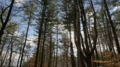 What happened
in the King Phili's War was - Beyond Skinwalker Ranch