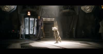 What happened in there? - Guardians of the Galaxy Vol. 3