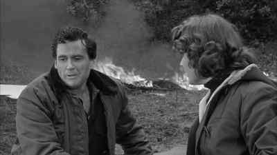 What happened? It felt
like something collided with us up there. - The Giant Claw