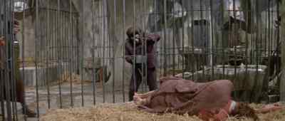 - What happened?
- Oh, those fools and their torches. - Planet of the Apes