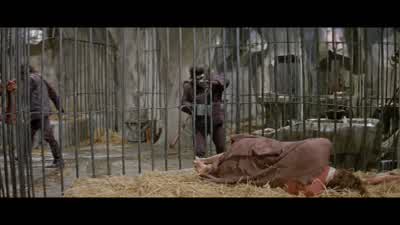 - What happened? - Planet of the Apes