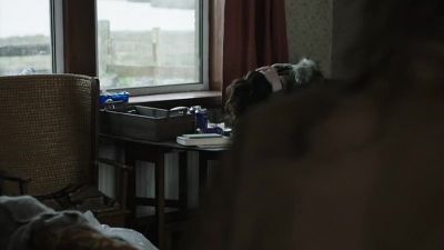 What happened? - Shetland