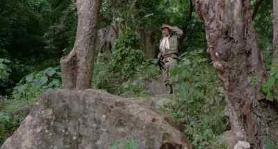 What happened? - Treasure of the Amazon