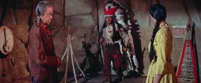 What happened? - Chief Crazy Horse