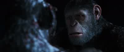 What happened? - War for the Planet of the Apes