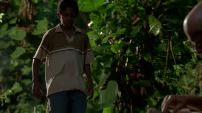What happened? - Lost