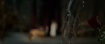What happens when the last petal falls? - Beauty and the Beast