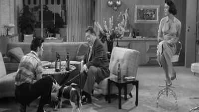 What have you been doin'
to these dogs? - Jailhouse Rock