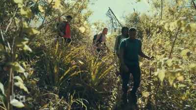 - What we have to do - Snake in the Grass