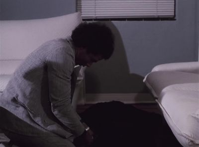 What have you done? - Miami Vice