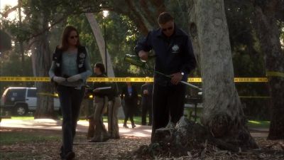 What have you got? - CSI: Crime Scene Investigation