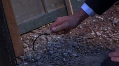 What have you got there,
Murdoch, a bit of string? - Murdoch Mysteries