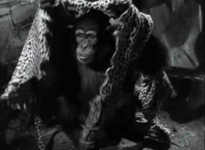 What have you got there? - Tarzan and the Leopard Woman