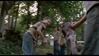 What have I done? - The Tree of Life