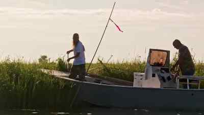          -What is he?
         -I don't know. - Swamp People