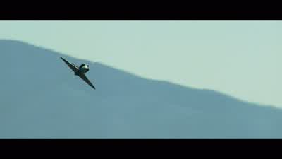 What... hold it. - Top Gun