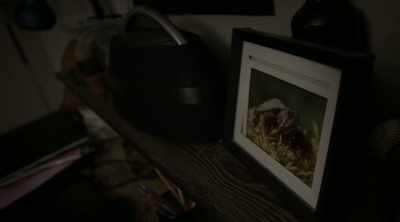 What I did primarily was
just playing video games, - Eli Roth Presents: A Ghost Ruined My Life