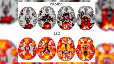 What I find amazing
is the parallel - The Way of the Psychonaut