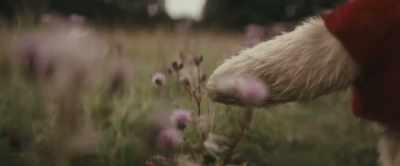 What I like best... - Christopher Robin