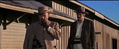 What I like and what I need are two different things - The Wild Bunch
