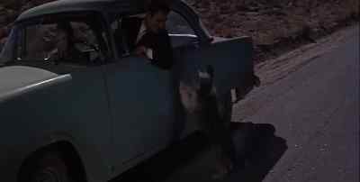 What I ought to do is
put a bullet in his head. - I Died a Thousand Times