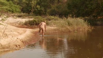       What I would not give
       for fish right now. - Naked and Afraid