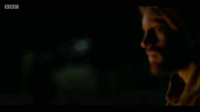 What if I'd never left here? - Troy: Fall of a City