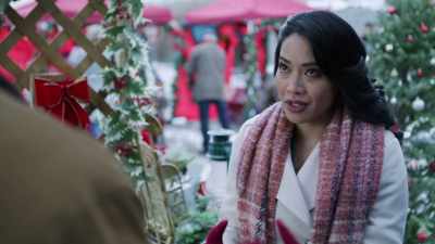 What if we made
the ice wine harvest - A Vineyard Christmas