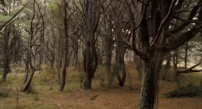 What if the Dark Master gets the keys first? - Bridge to Terabithia