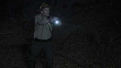 What in God's holy name - Wolf Mountain