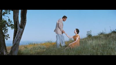 What incredible hands you have - Love Is a Many Splendored Thing
