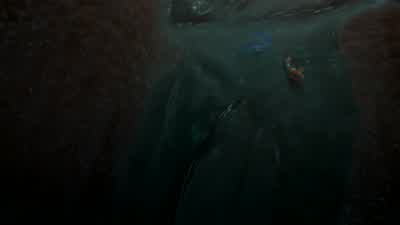- What is going on? - Finding Nemo