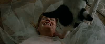 What is going on? - The Other Woman