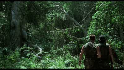 What is it? - Predator