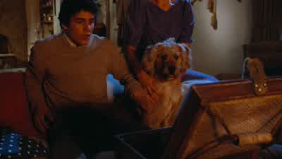 What is it? - Gremlins