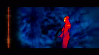 What is it? - Predators