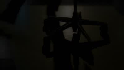 What is it? - Bones