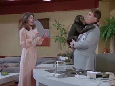 What is this monkey doing here? - Wonder Woman