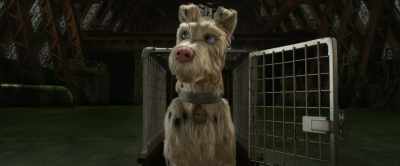 What is this place?
How long have you been here? - Isle of Dogs