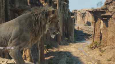 What is this place? - Mufasa: The Lion King