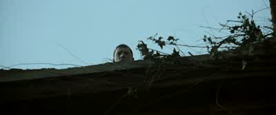 What is that? - Terminator Salvation