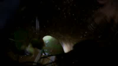 What is that? - Lost