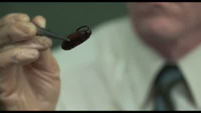 What is that, some kind of seedpod? - The Silence of the Lambs